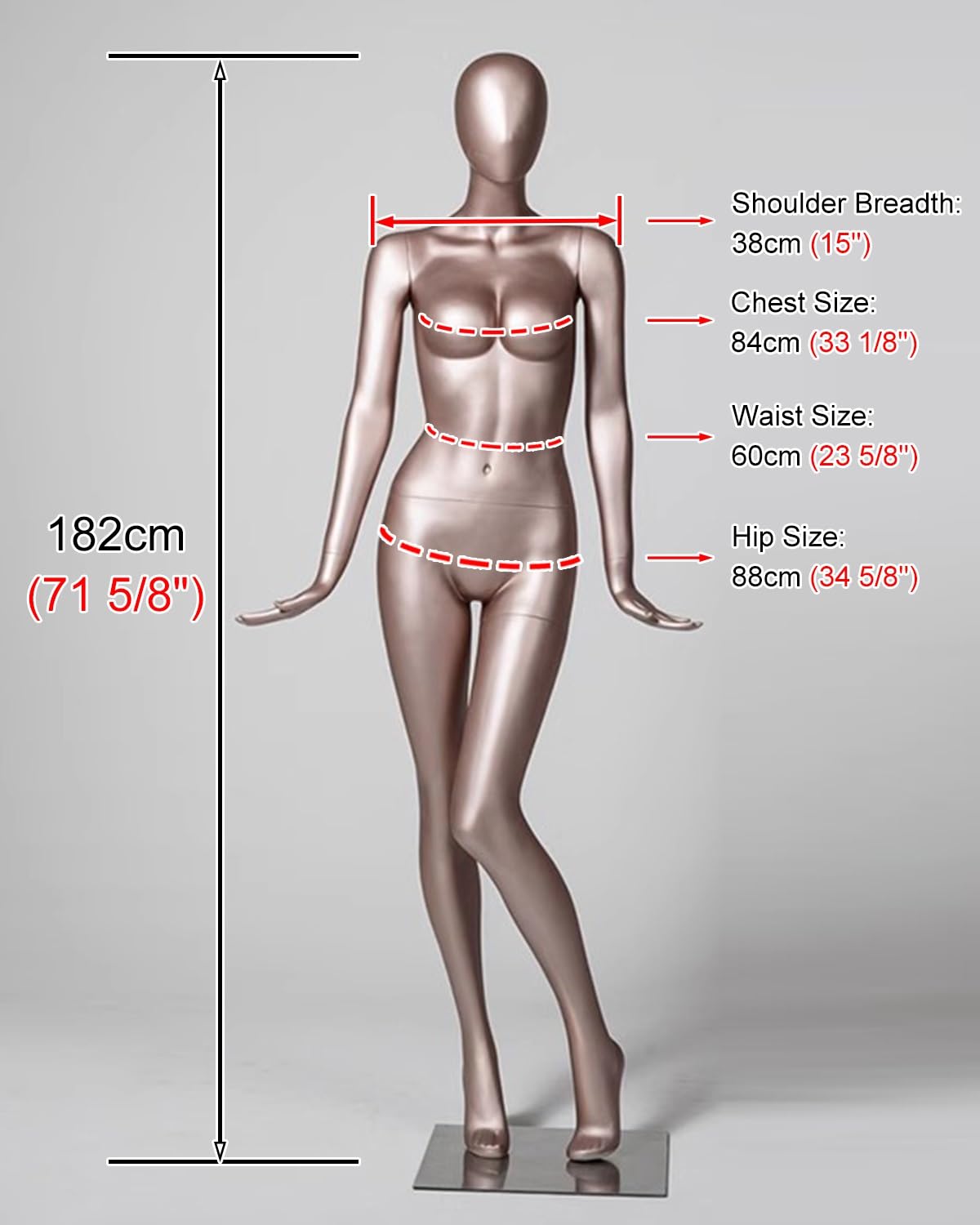 Amazon.co.jp: 女性マネキン 半身/全身 ローズゴールド ドレスフォーム